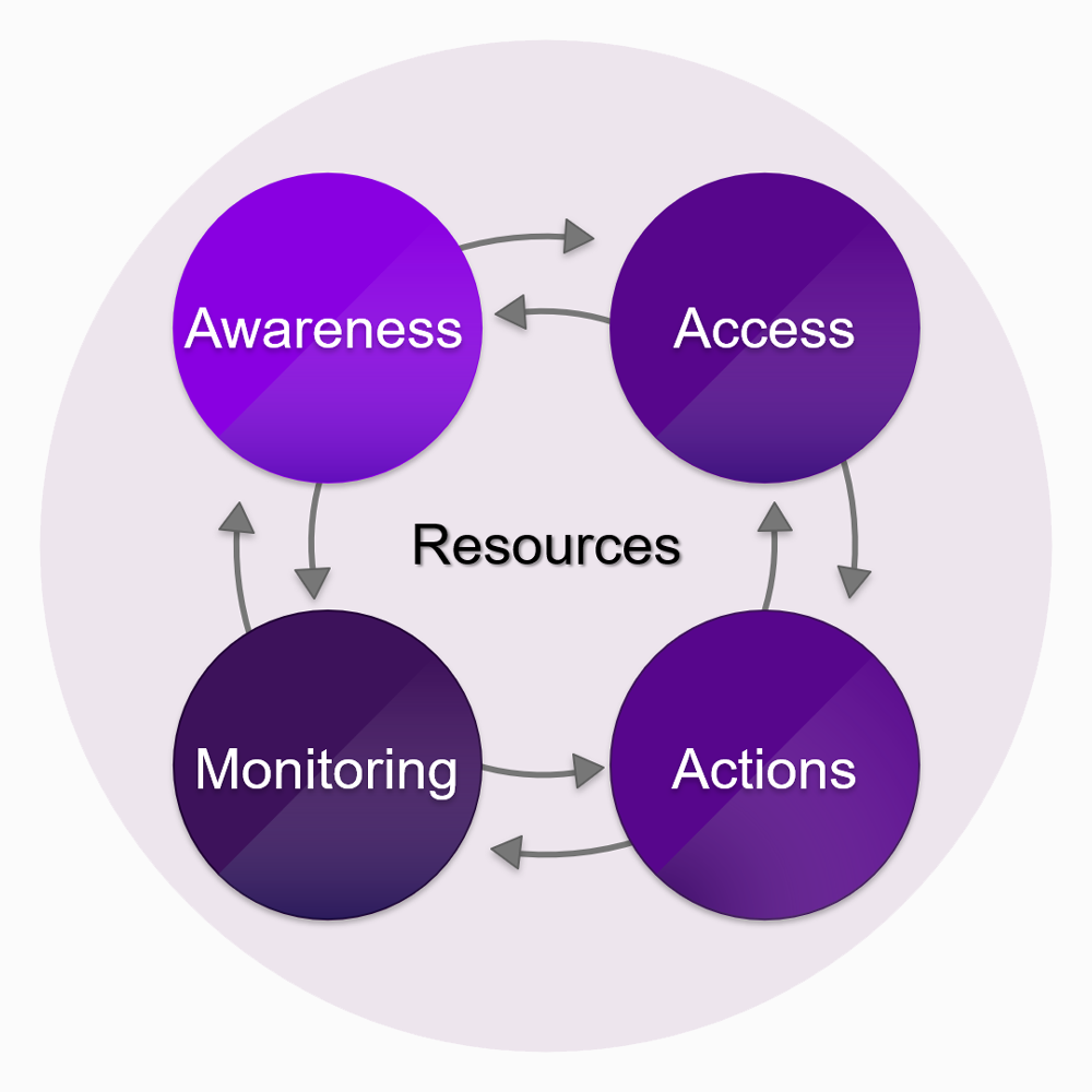 The AAAM Framework The AAAM Framework